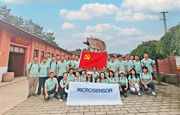 弘揚廉潔文化，強化紀律觀念——麥克黨支部開展主題黨日活動